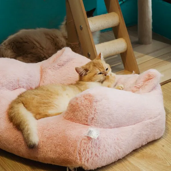 Beispielbild: Katzenbett