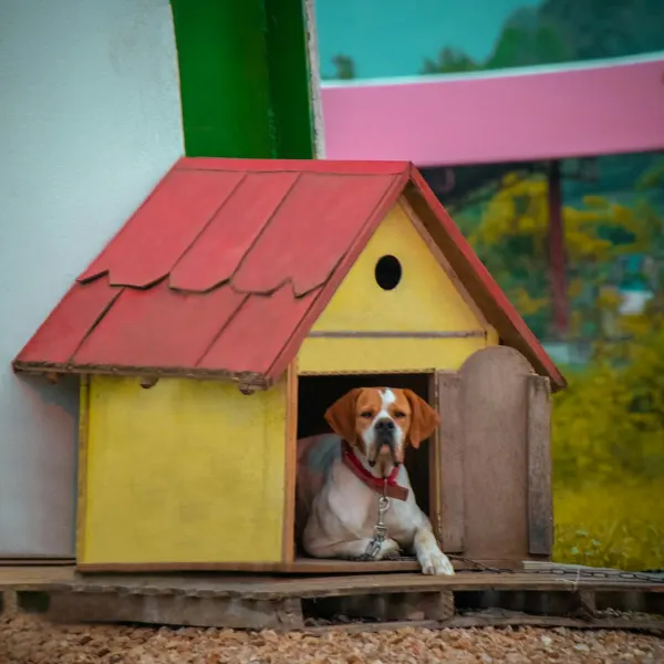 Beispielbild: Hundehütte