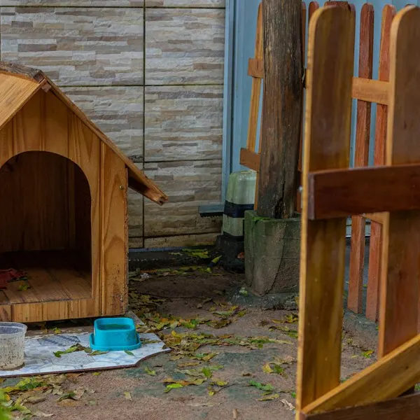 Beispielbild: Hundehütte