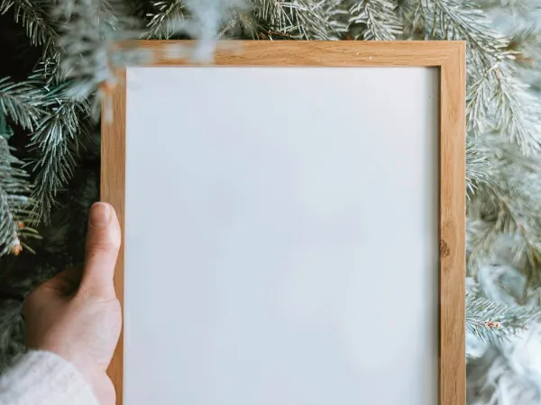 Illustrative image: light wood frame